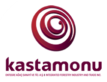 KASTAMONU ENTEGRE